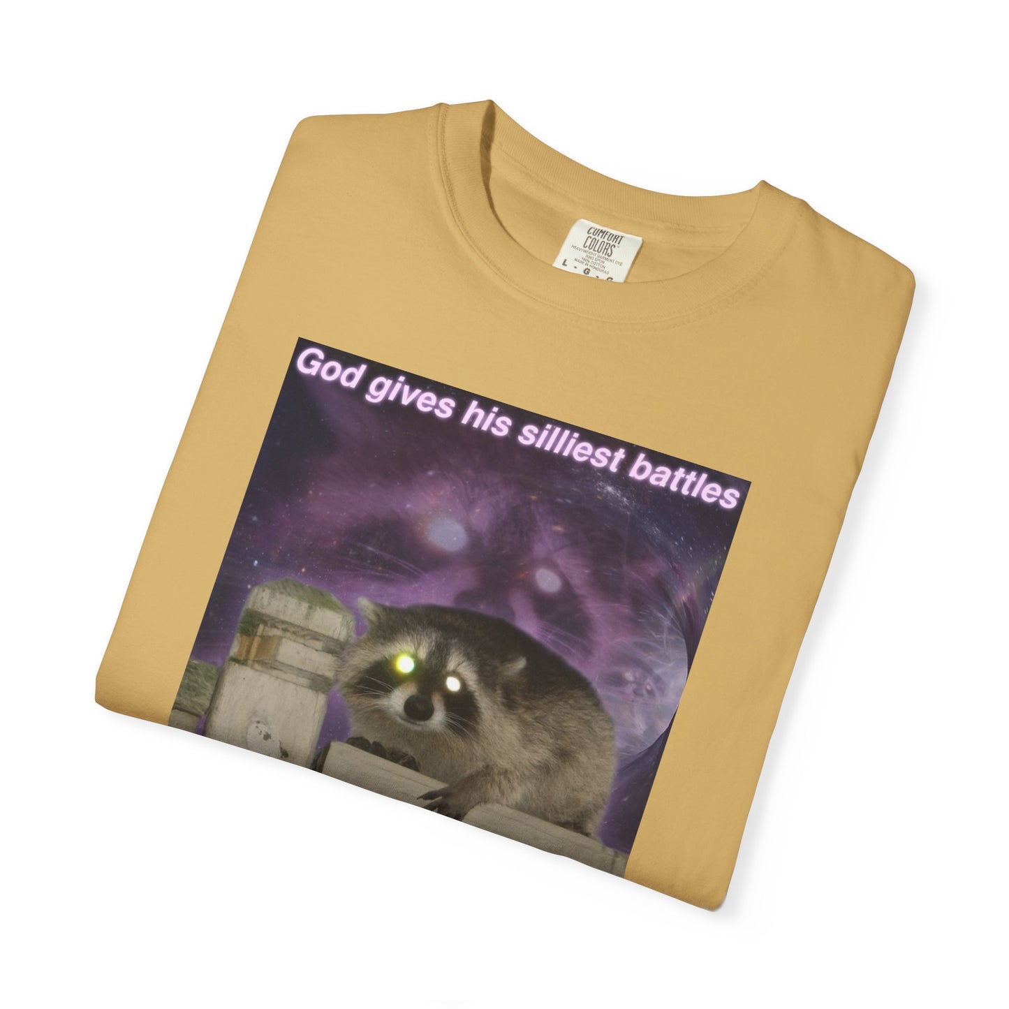 Tragic Clown Raccoon