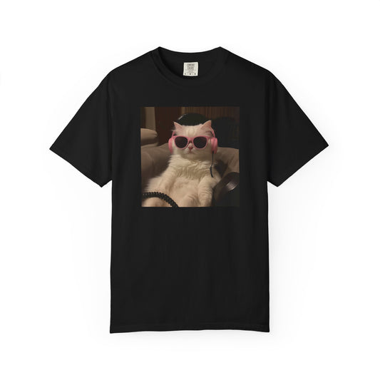 Lo-Fi Vibes Cat Graphic