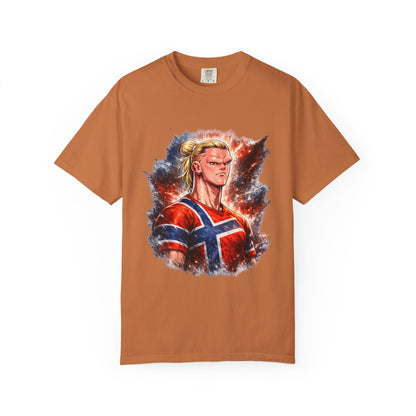 Nordic Fury