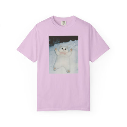 Snow Angel Cat