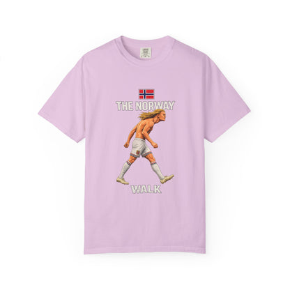 Nordic Stride