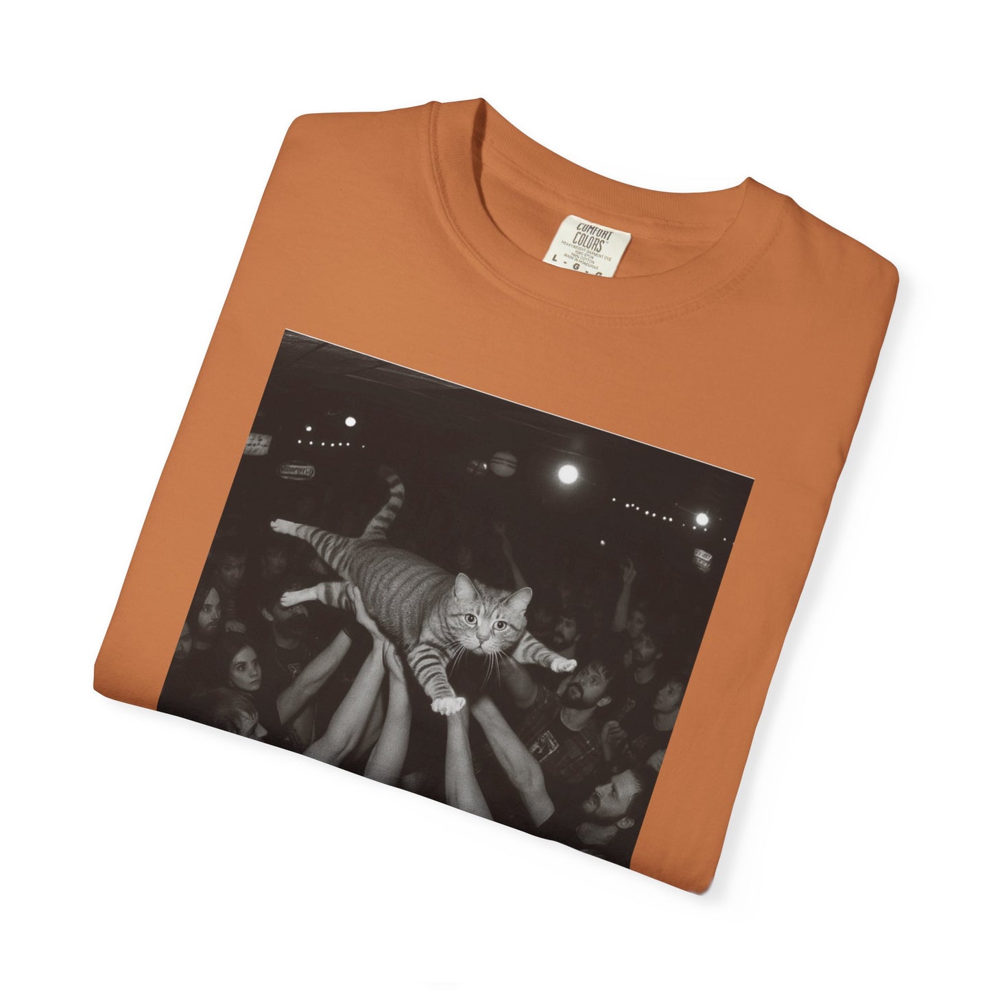 Crowd Surf Cat