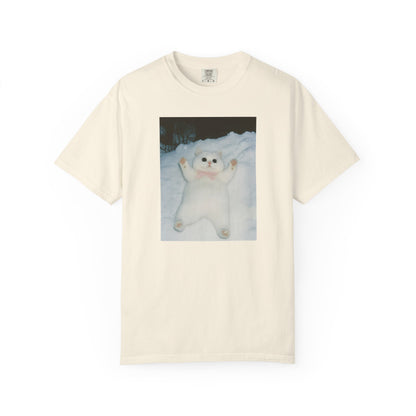 Snow Angel Cat