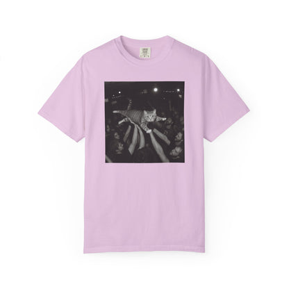 Crowd Surf Cat