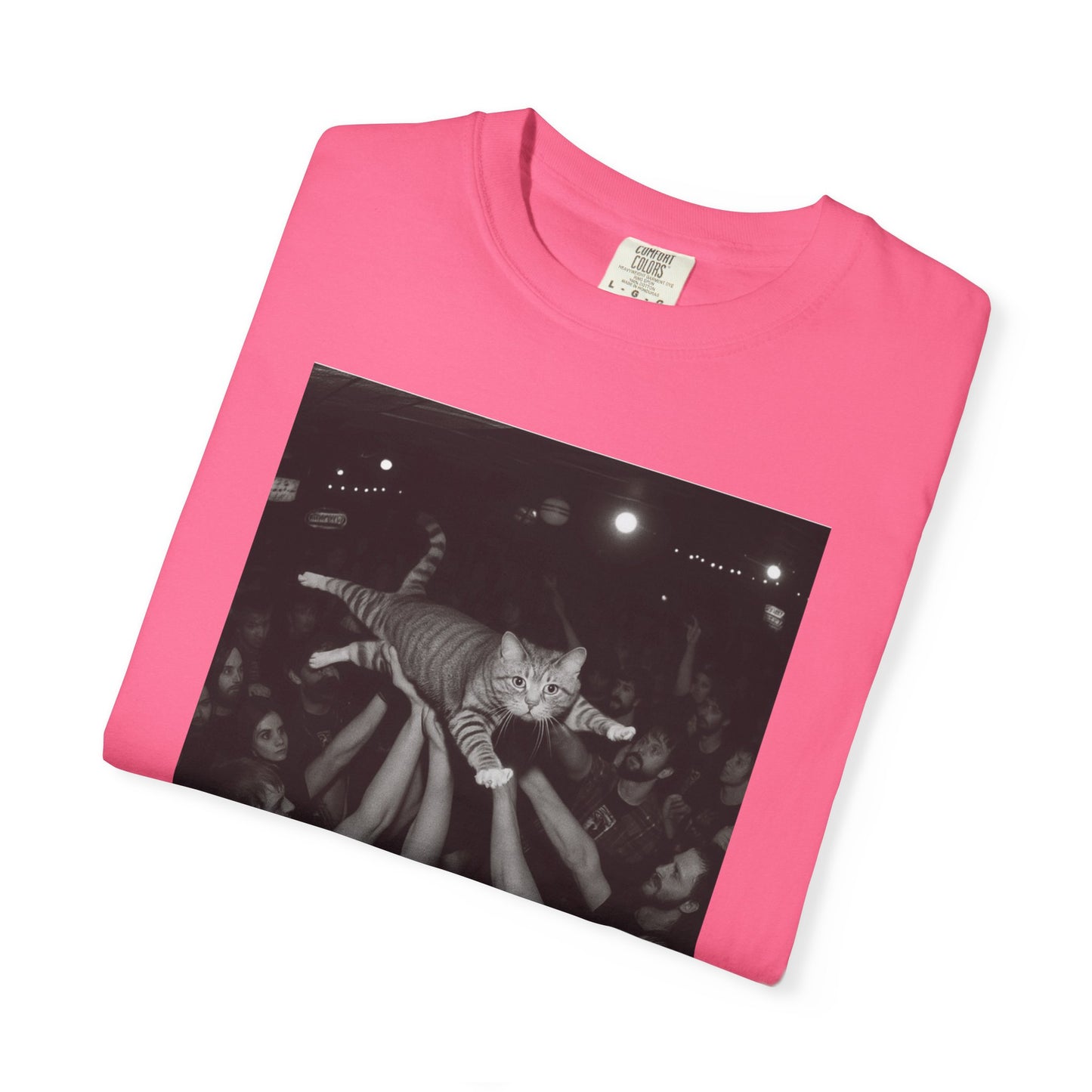Crowd Surf Cat