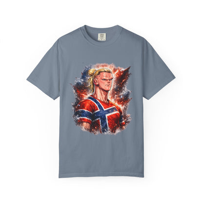 Nordic Fury