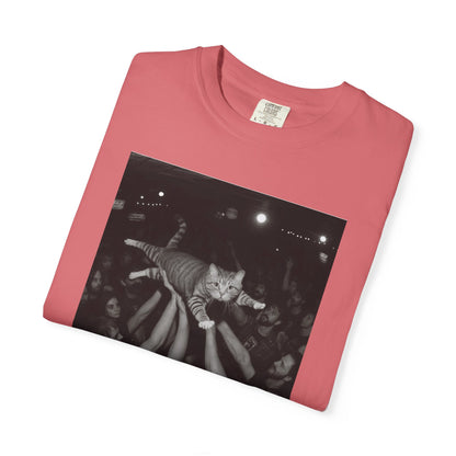 Crowd Surf Cat