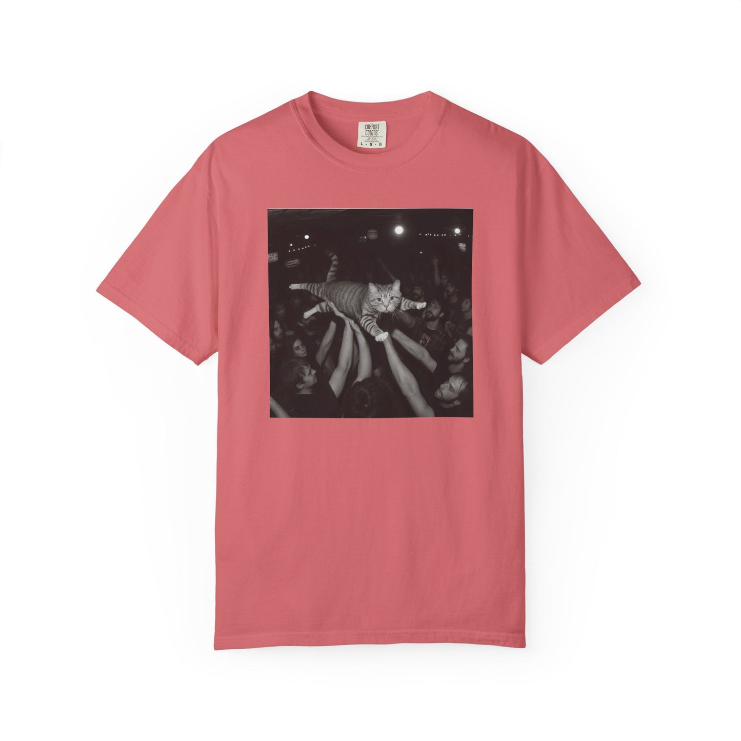 Crowd Surf Cat