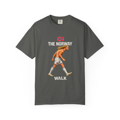 Nordic Stride
