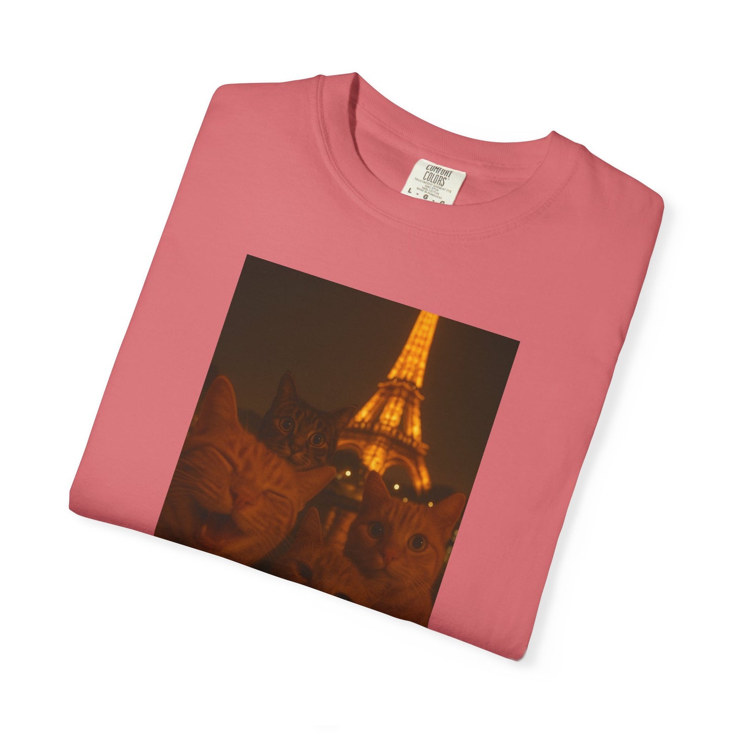 Eiffel Feral Cat