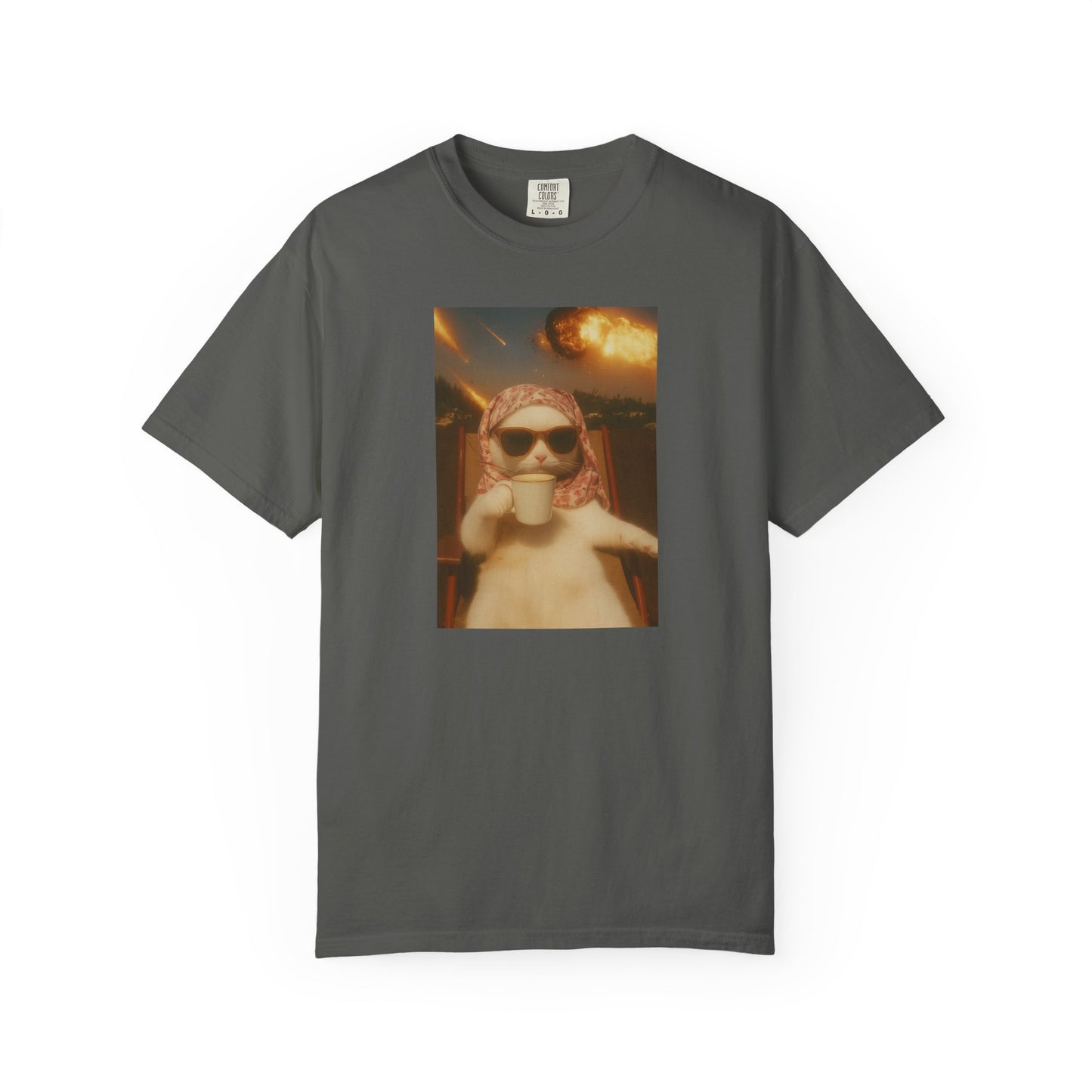 Apocalypse Chill Cat