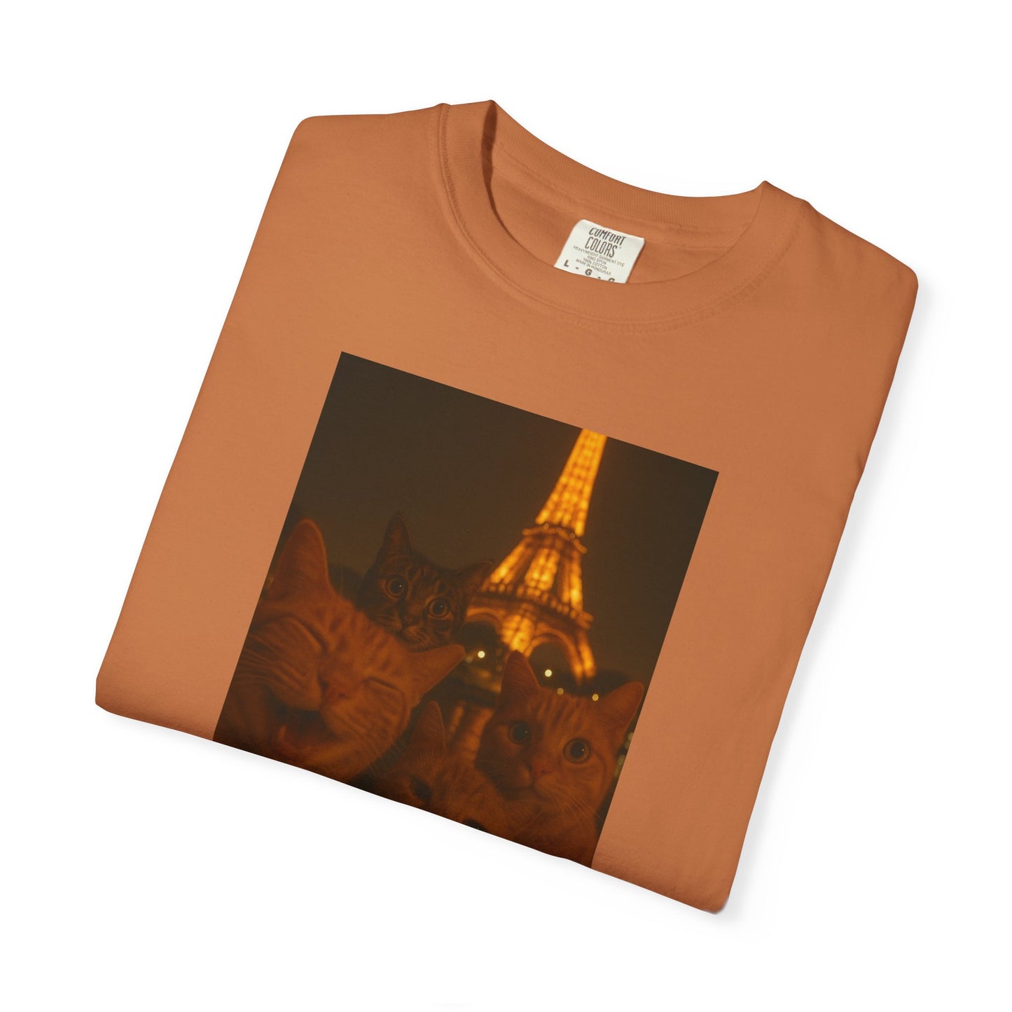 Eiffel Feral Cat