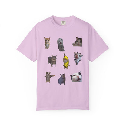Meme Squad Cat