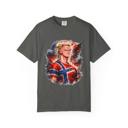 Nordic Fury