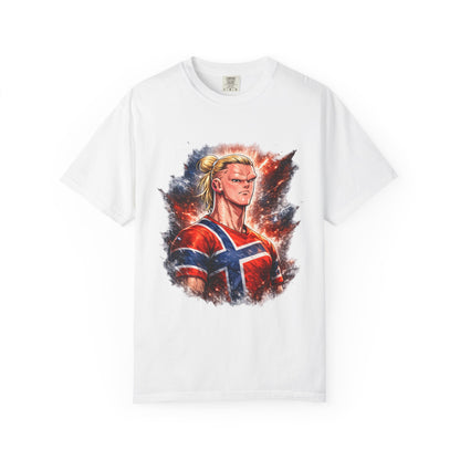 Nordic Fury