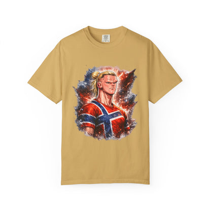 Nordic Fury