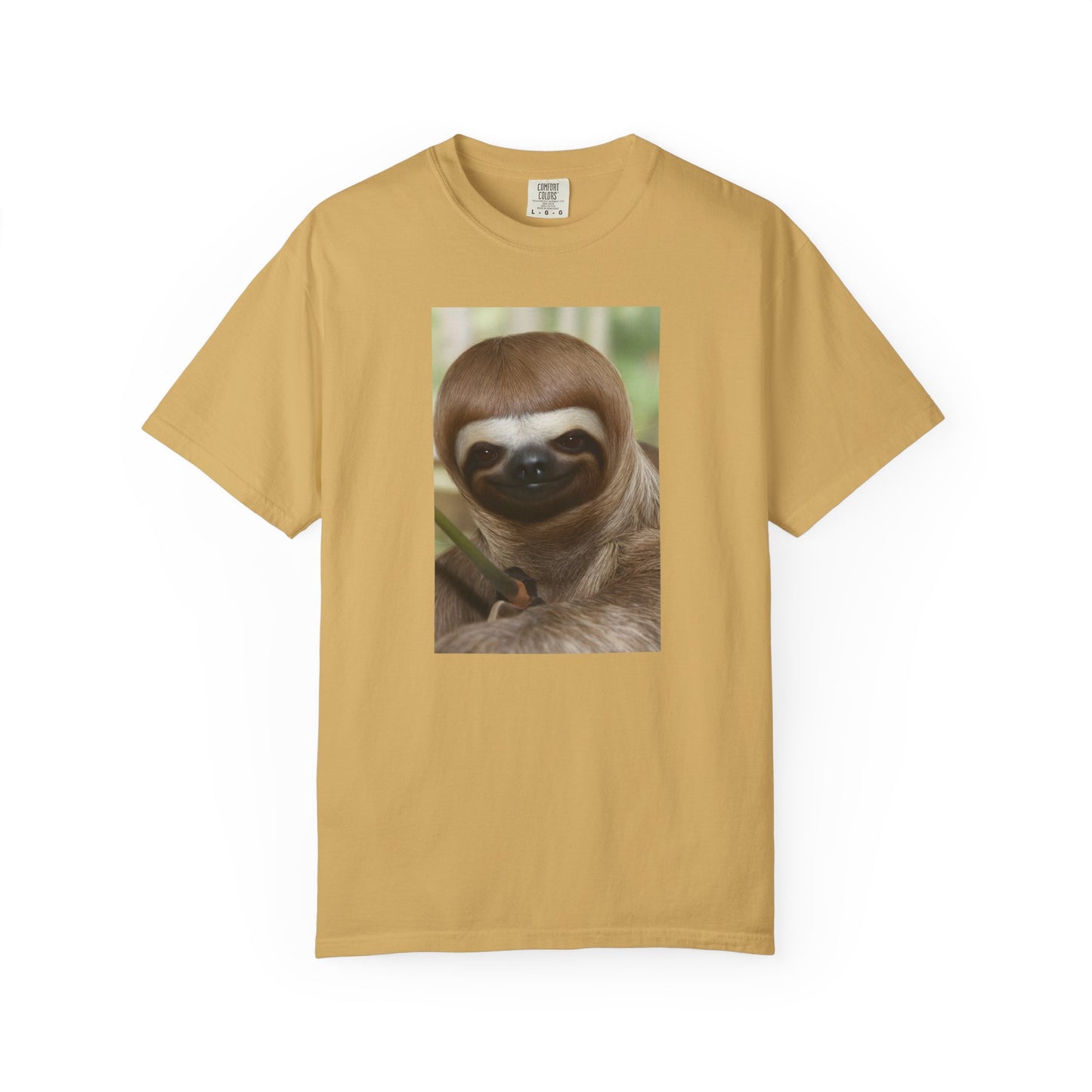 Albert the Sloth