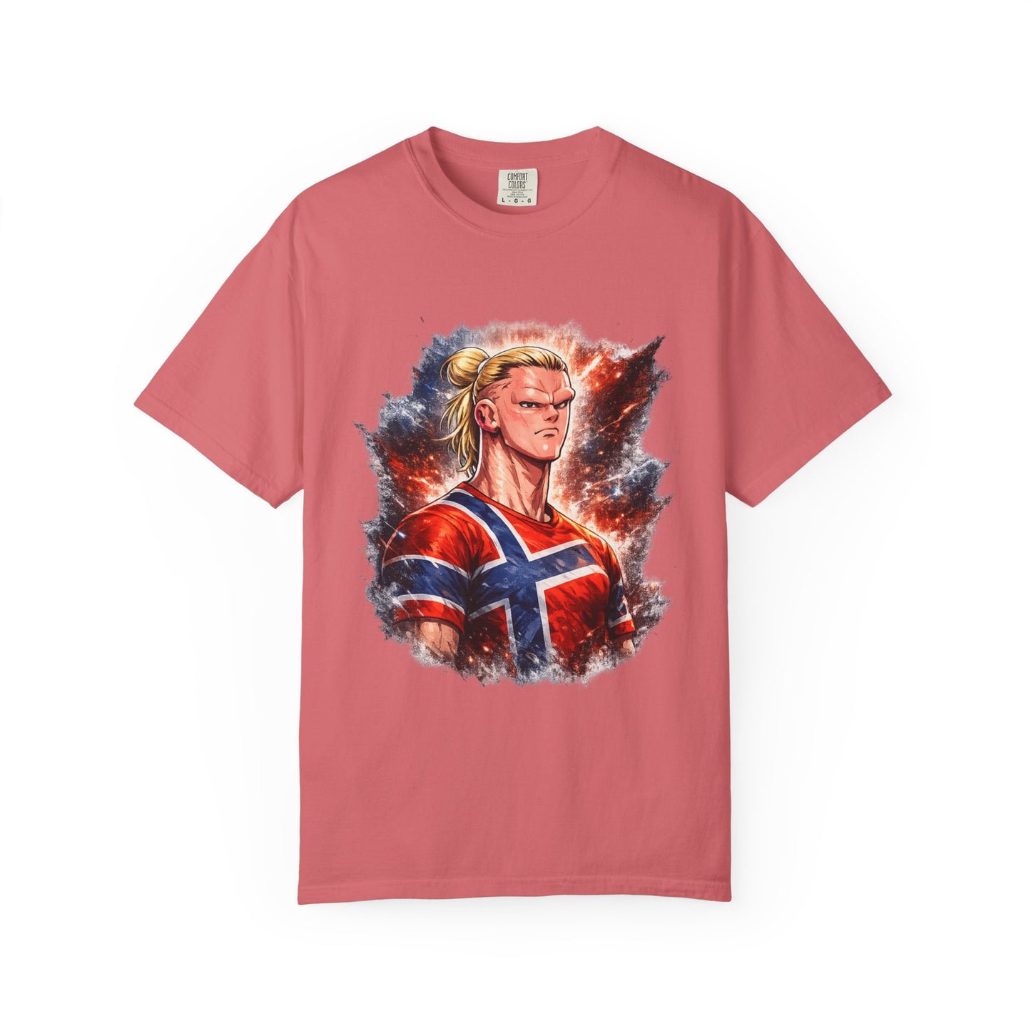 Nordic Fury
