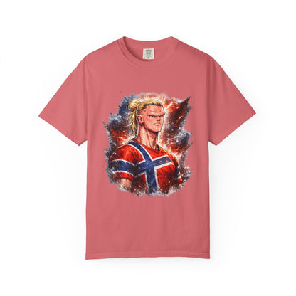 Nordic Fury