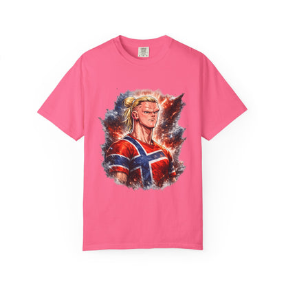 Nordic Fury