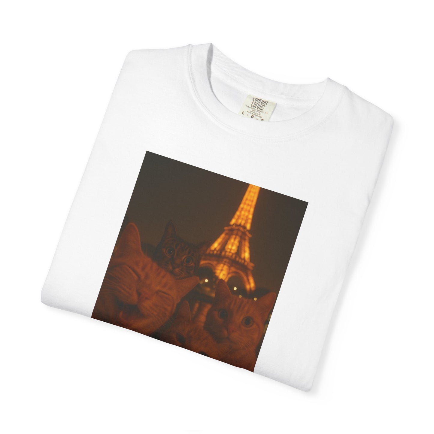 Eiffel Feral Cat