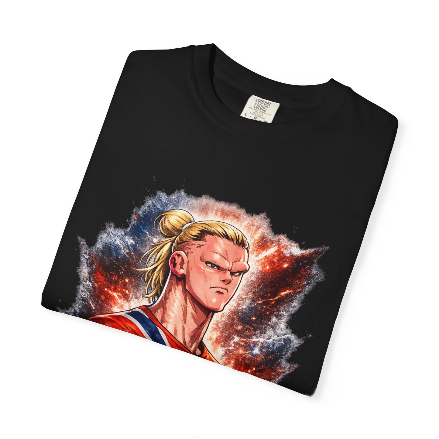Nordic Fury