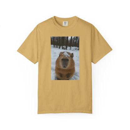 Cold Snout, Warm Heart