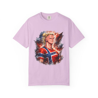 Nordic Fury