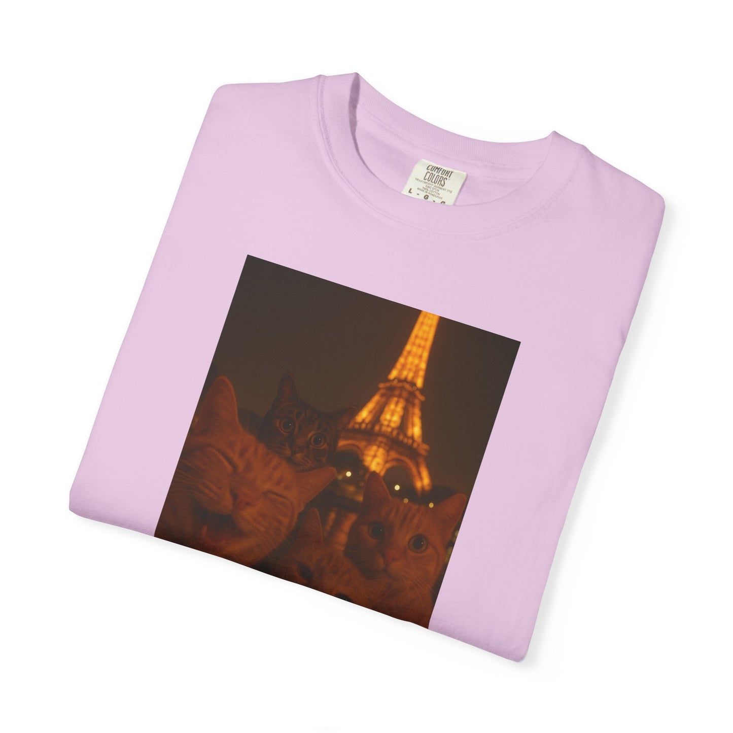 Eiffel Feral Cat