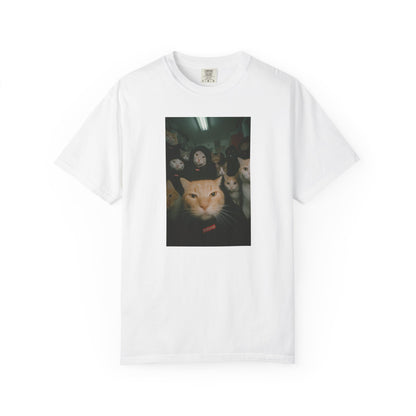 Drip Cats Gang