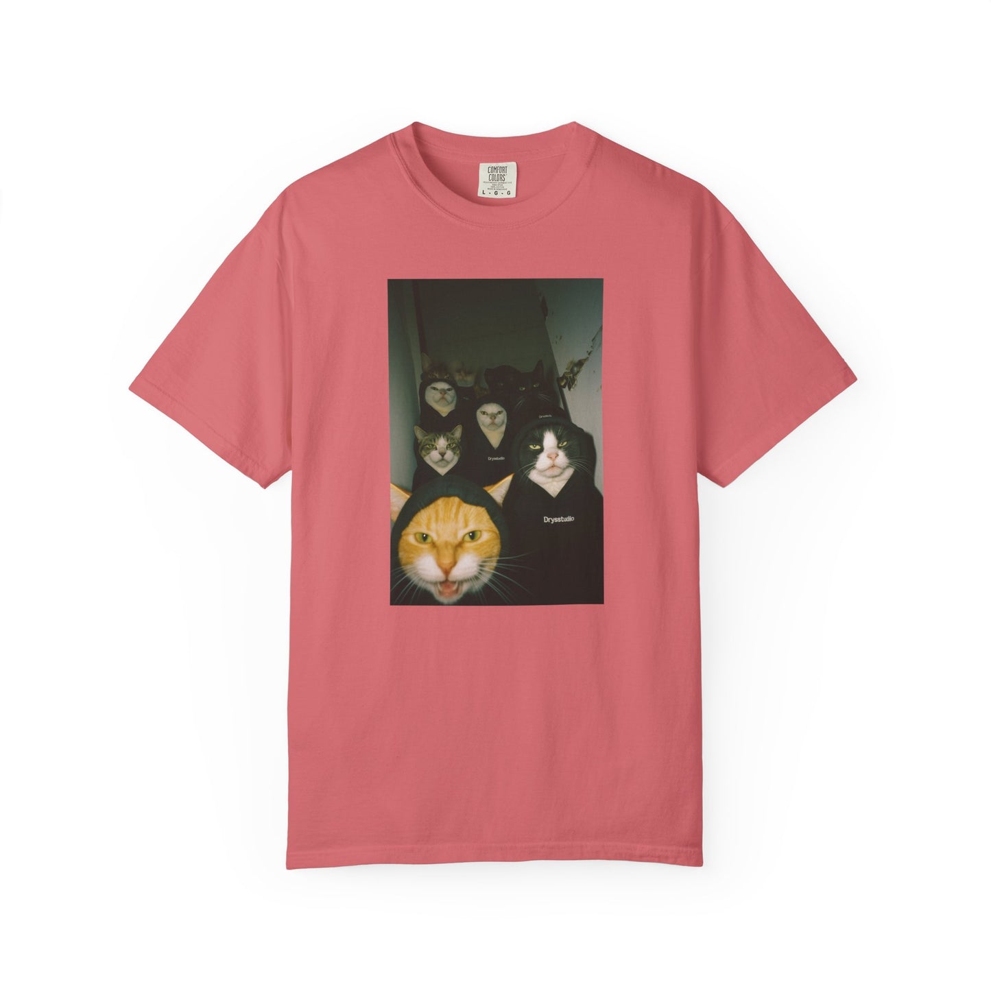Chaos Crew Cat