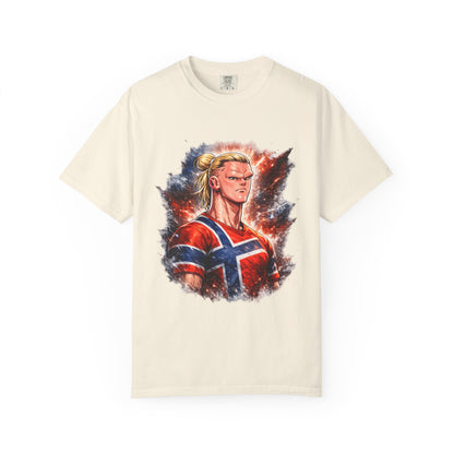 Nordic Fury