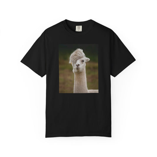 Emo Alpaca Portrait