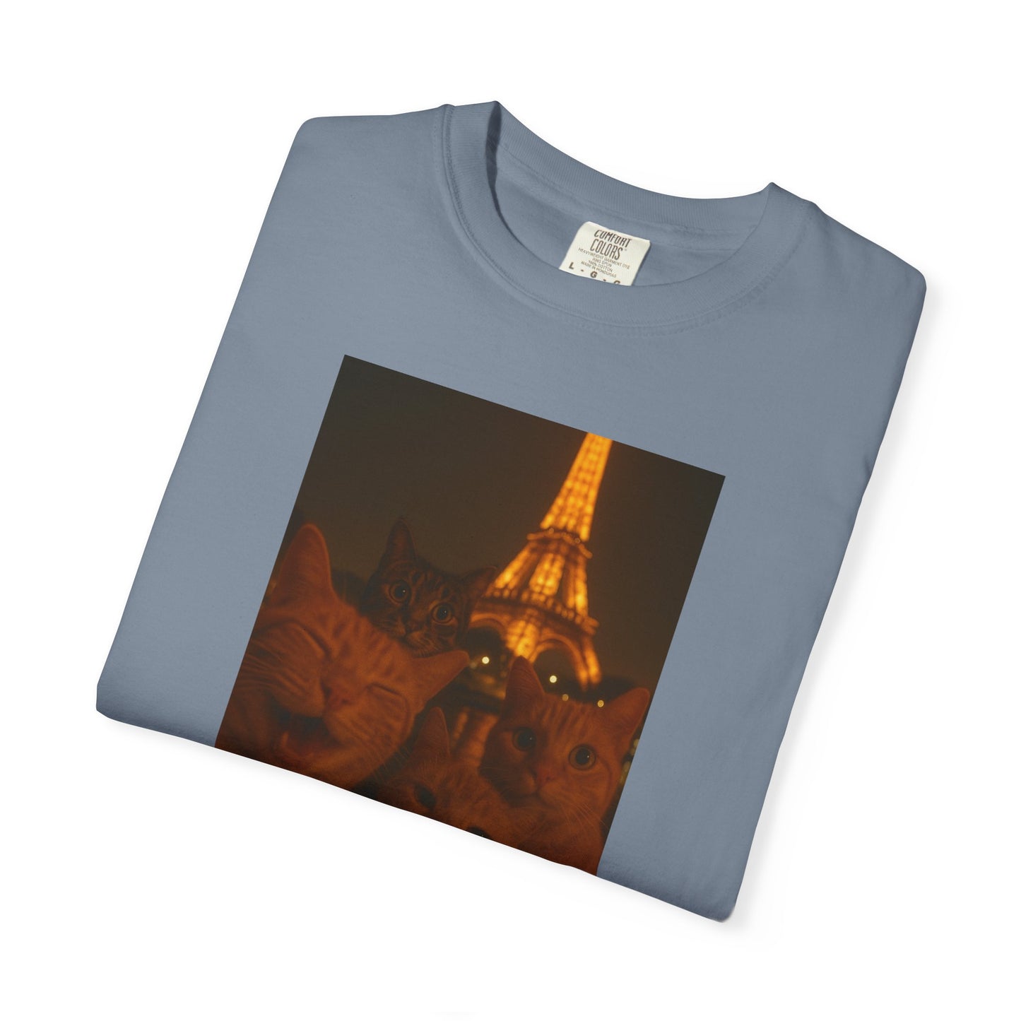 Eiffel Feral Cat